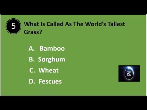 GENERAL KNOWLEDGE QUIZ - TEST 8 - GK QUIZ