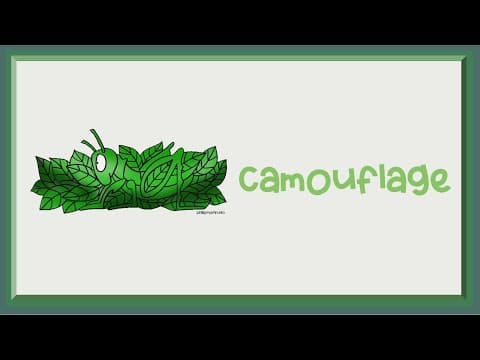 Camouflage