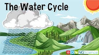 The Water Cycle