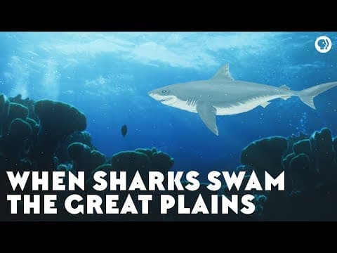 When Sharks Swam the Great Plains
