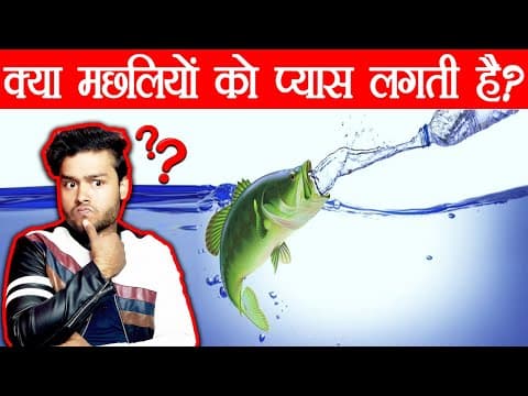 जवाब दो - क्या मछलियों को प्यास लगती है ? Scientific Osmosis of Fishes and Random Facts - TEF Ep 81