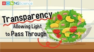Transparency – Allowing Light to Pass Through