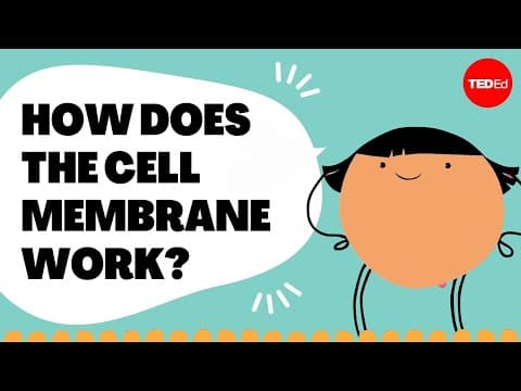 Insights into cell membranes via dish detergent - Ethan Perlstein - YouTube