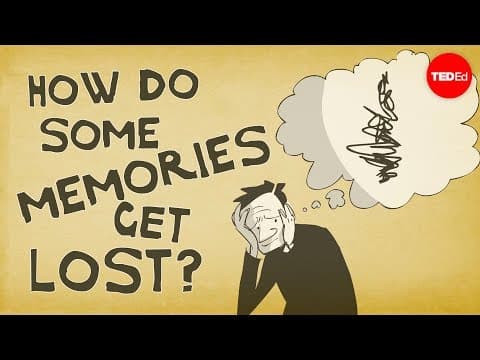 How memories form and how we lose them - Catharine Young - YouTube