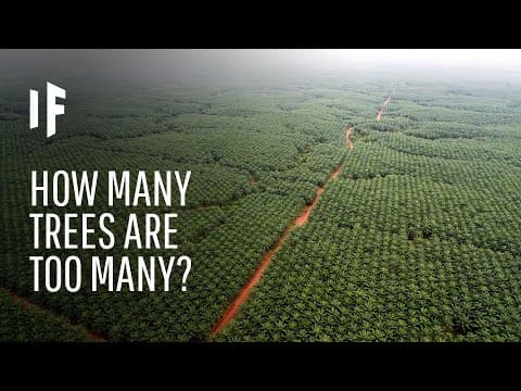 What If We Planted a Trillion Trees?