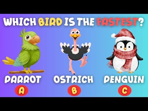 Guess the Bird! 🦜 | Fun General Knowledge Quiz & Bird Facts for Kids