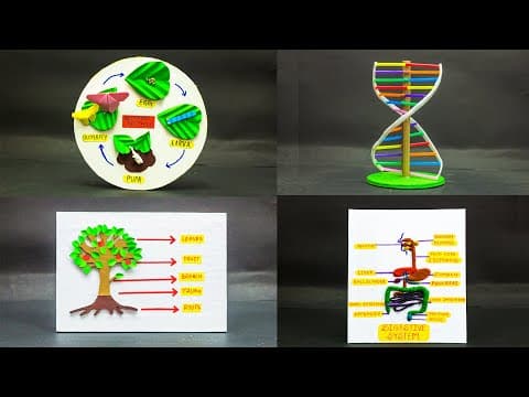 Biology Science Projects