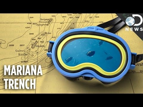 What Lives In The Deepest Place On Earth