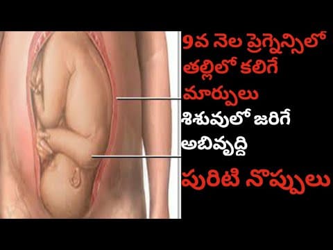 9th Month of Pregnancy in Telugu#9th month pregnancy | Pregnancy 9th Month Baby changes and Movement