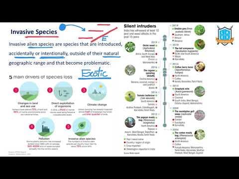 What is Invasive Species ? || Invasive Species అంటే ఏమిటి?