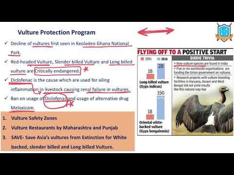 What is Vulture Protection Scheme ? || Vulture Protection Scheme అంటే ఏమిటి?