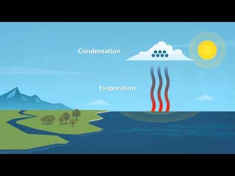 How does rain form and what is the water cycle? - YouTube