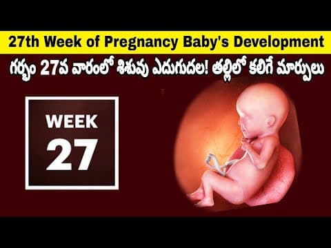 27th Week of Pregnancy Symptoms, Changes & Baby Development | 27th Week of Pregnancy in telugu