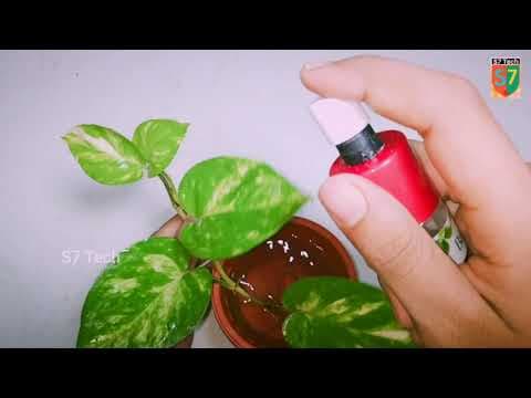 How to make spray bottle by using body spray bottle