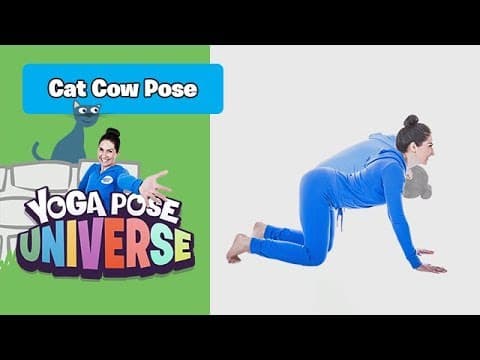 Yoga Pose Universe | Cat Cow Pose